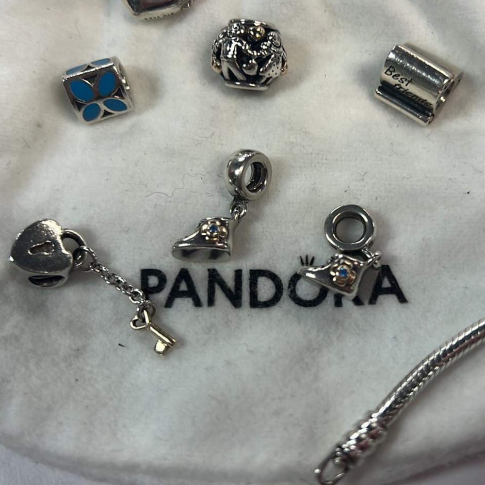 Pandora Charms